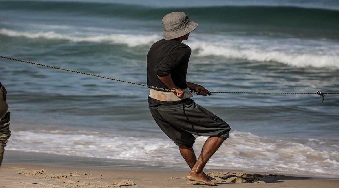 صيادون نازحون يجمعون صيدهم من الشباك التي أُحضرت إلى الشاطئ في دير البلح، في وسط قطاع غزة