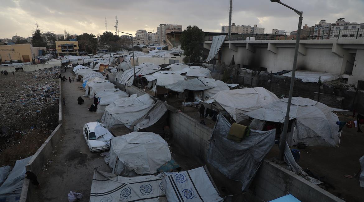   خيام النازحين تتكدّس وسط مدينة غزة، حيث تُجبر آلاف العائلات على العيش في مساحات ضيّقة، في ظل نقص حاد بالمياه والغذاء والرعاية الصحية